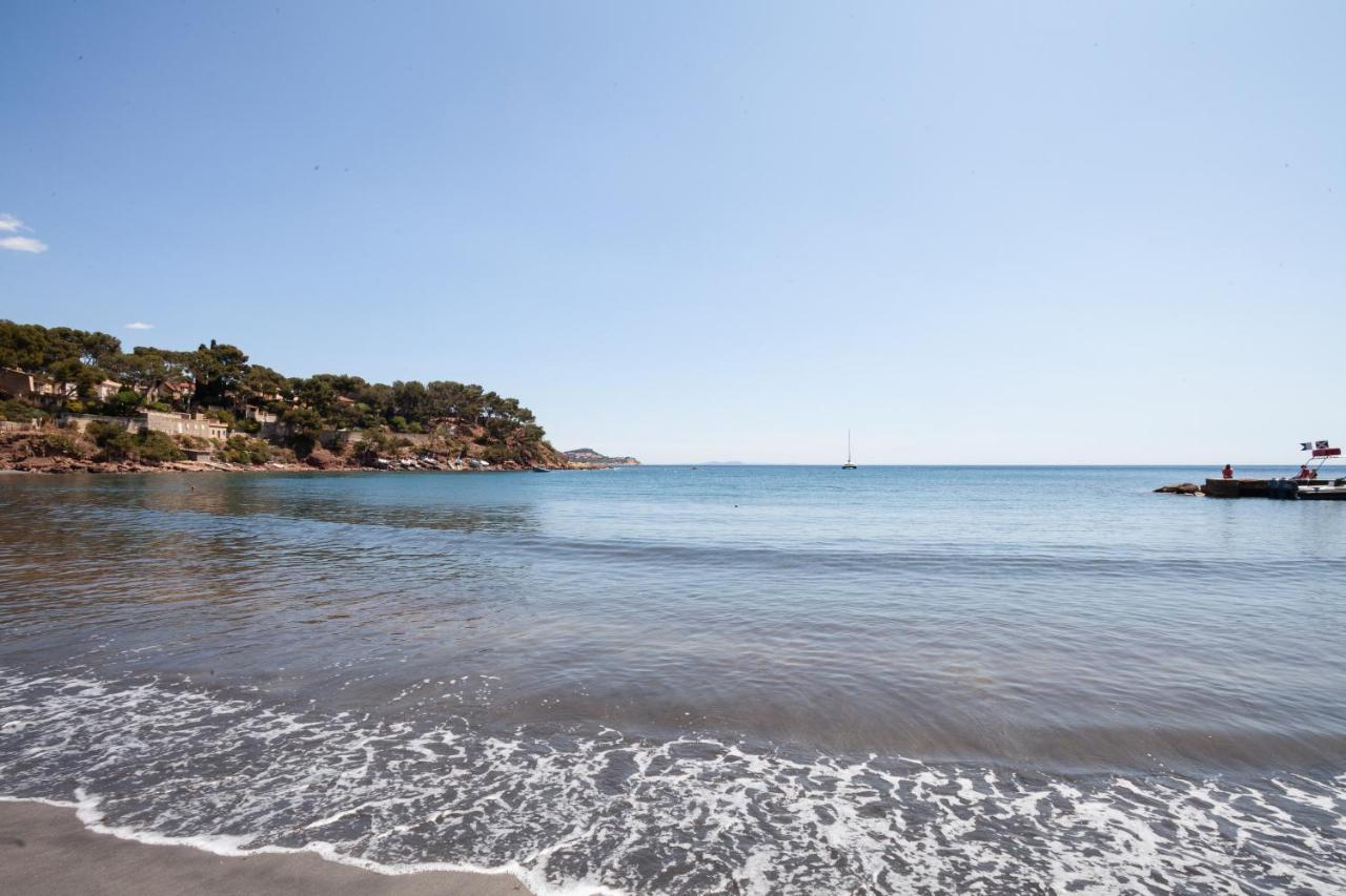 T2 - La Seyne Sur Mer - Fabregas エクステリア 写真